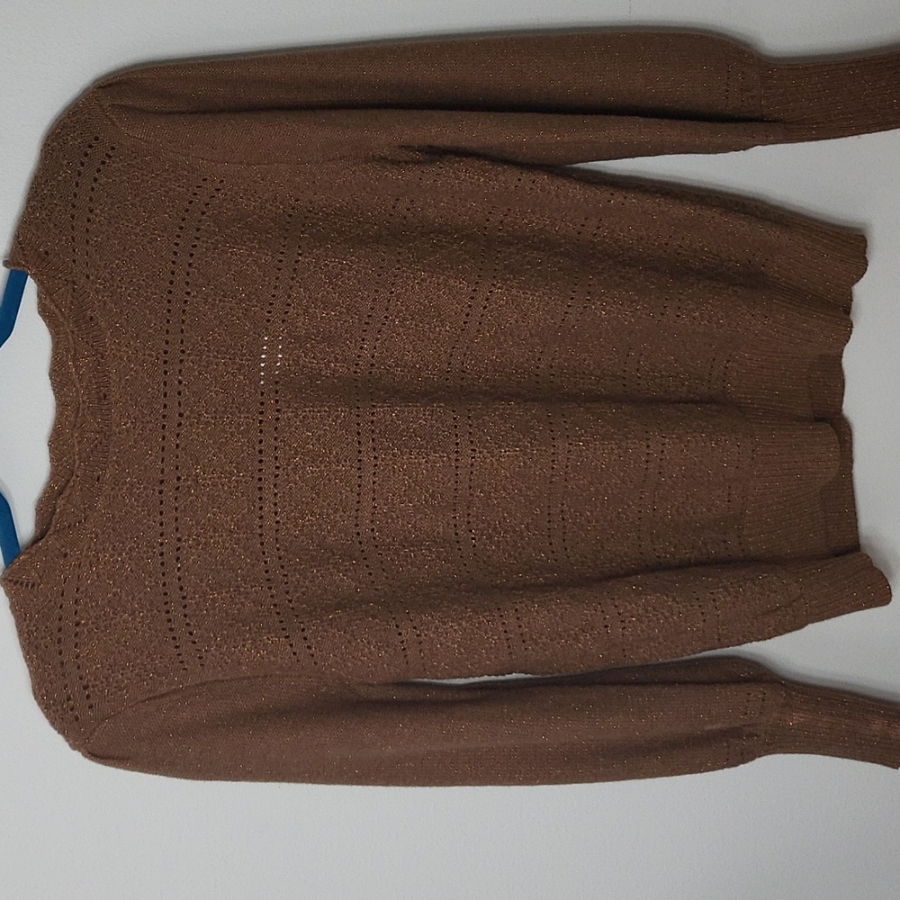 Rust Brown Pointelle Sweater size L vintage vibes metallic thread